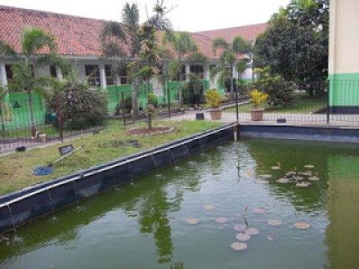 Multimedia